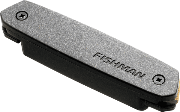 Fishman Micro NEO-d Simple Bobinage