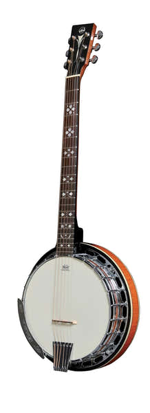 VGS Banjos Premium 6 Cordes Avec étui