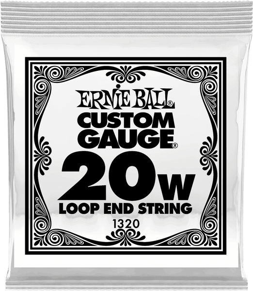 Ernie Ball Stainless Steel 20