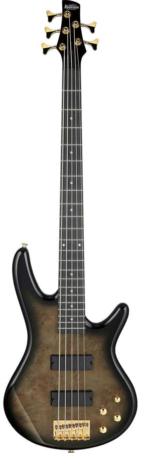 GSR205PCTPB Transparent Pale Black Burst
