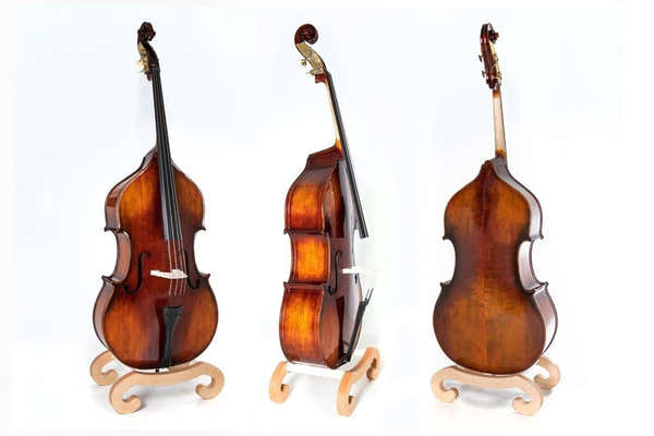 Gewa Basic Line Contrebasse 1/2 - Massive