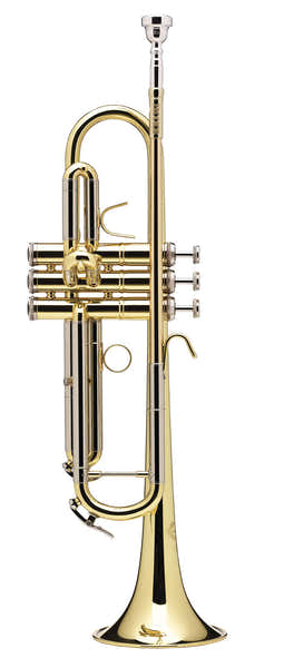 B&S Prodige Sib Vernie (Branche Inversée) - BS210LR-1-0