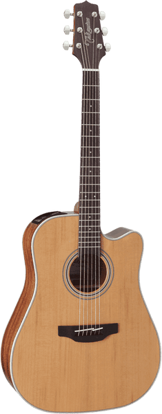 Takamine GD20CE-NS Natural Satin