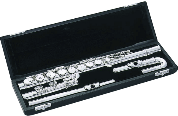 Tfcau Etui - Flute Alto + 2 Tetes