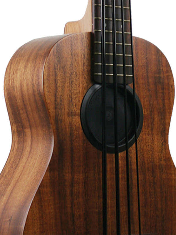 Feedback Freezer Pour U-Bass Anti-Feedback
