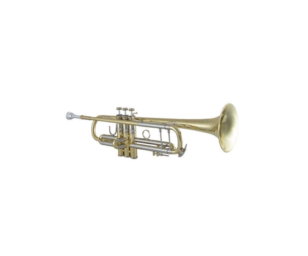 19043 Stradivarius - Sib Vernie