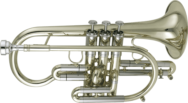 Getzen Custom 3810 Laiton Verni
