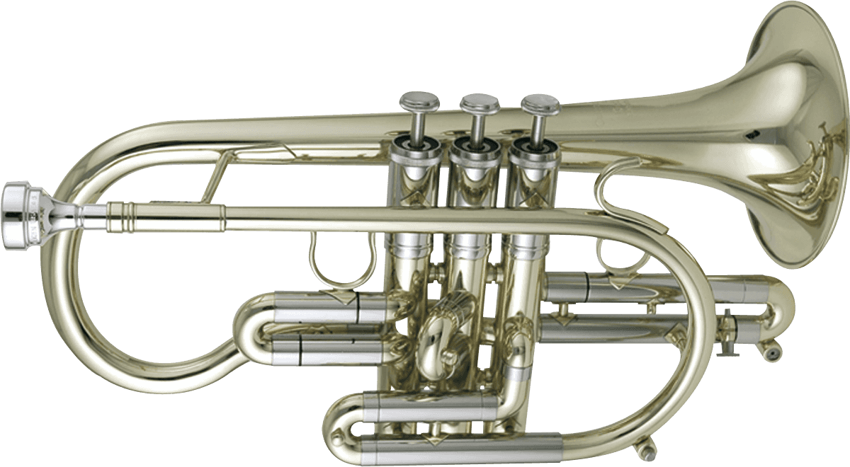 Custom 3810 Laiton Verni