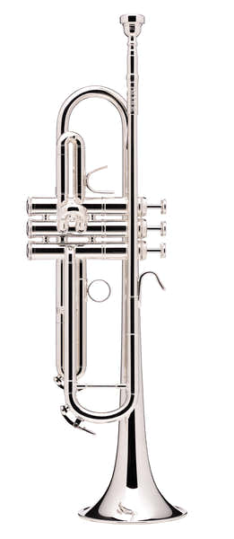 B&S Prodige Sib Argentée (Branche Inversée) - BS210LR-2-0