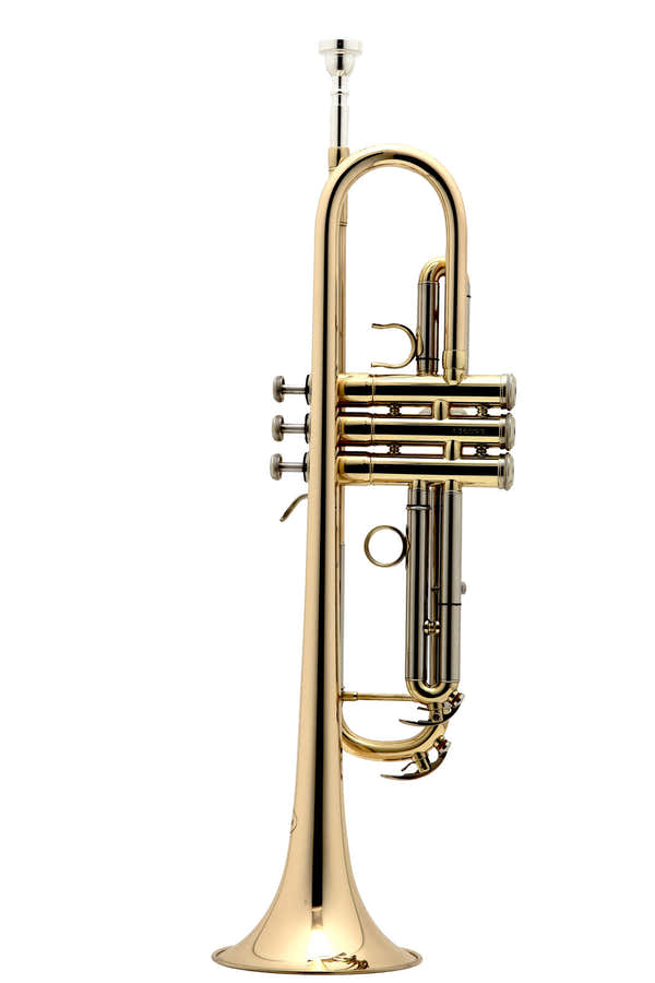 New Standard Sib Vernie - BE110-1-0