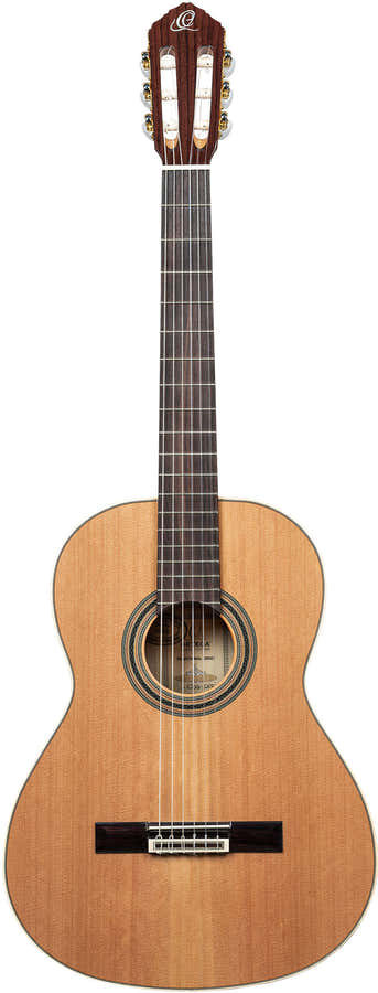 Traditional 4/4 + Pro Gig Bag