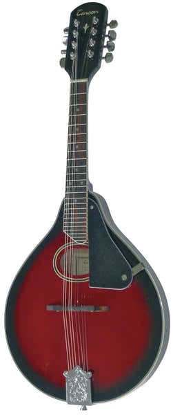 Tenson Mandoline Folk A-1 Ovale Black Cherry