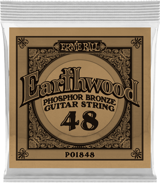 Ernie Ball Earthwood Phosphore Bronze 48