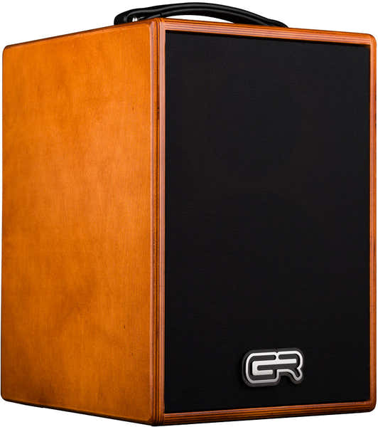 Gr Guitar WD Acoustic 8 Bois