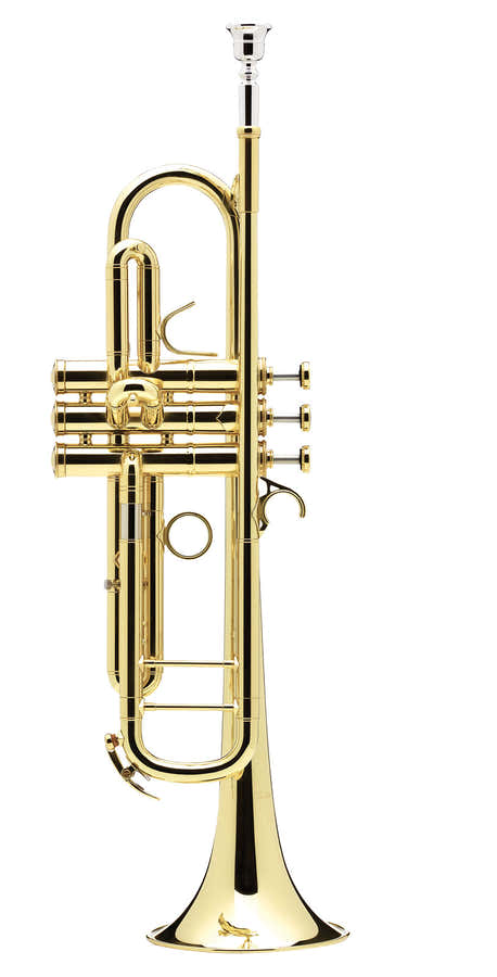 Confluence Sib Vernie - AC335BML-1-0