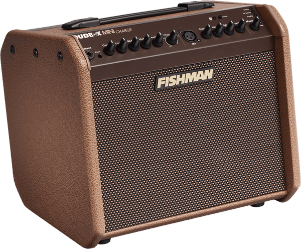 Loudbox Mini Charge 60 Watts