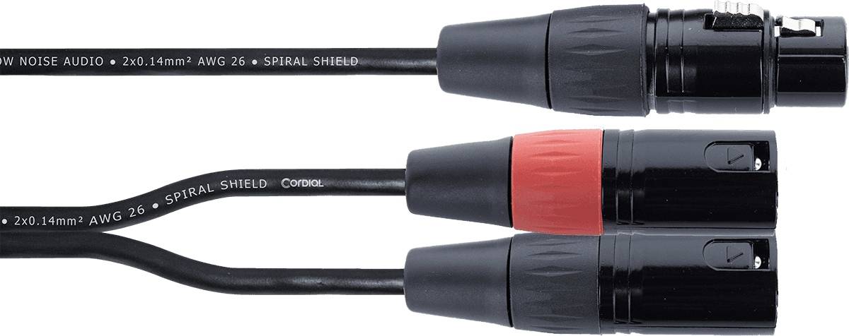 Câble Y Bretelle XLR Femelle / 2 XLR Mâle 30 CM