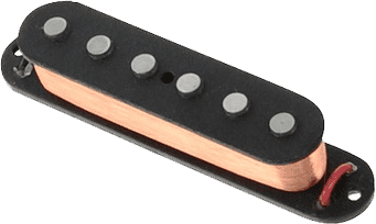 SJAG-2n - Hot Jaguar Manche Noir