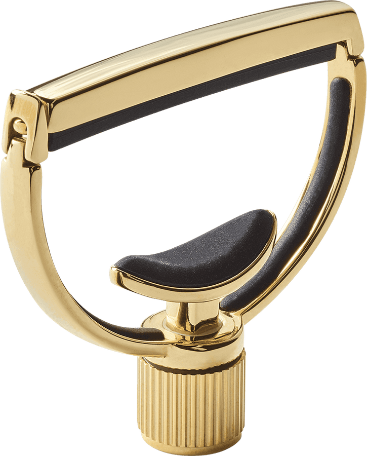 Heritage Guitar Style 1 Wide Gold
