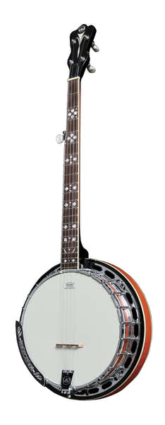 VGS Banjos Premium 5 Cordes Avec étui