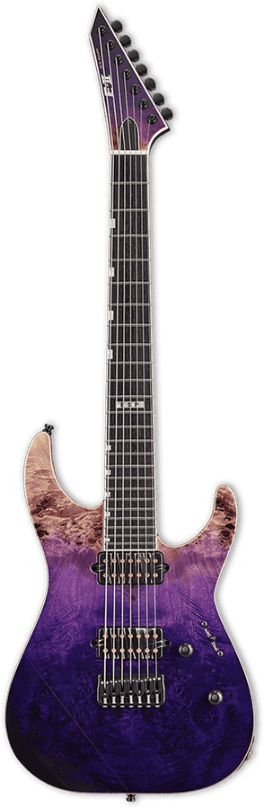 E-II M-II 7 Burled Male Hipshot Purple Natural Faded