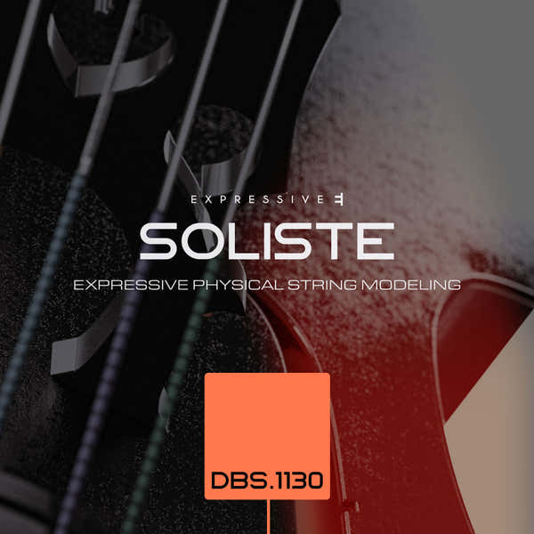 Expressive E Soliste BDS.1130 Contrebasse