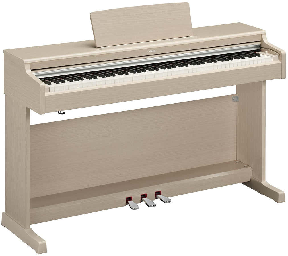 Arius YDP-165 Frêne clair