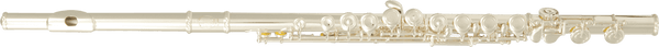 Flute Traversiere Debutant FL300E