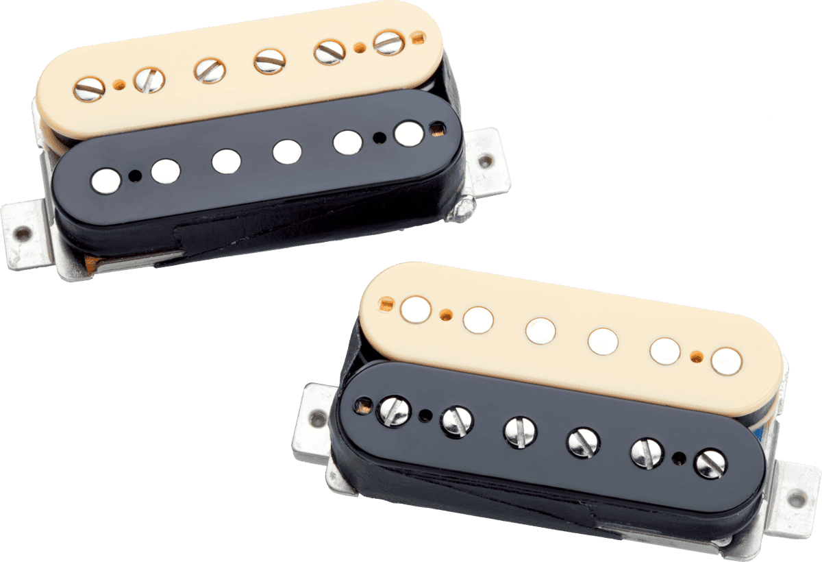 APH-2s ZRZ Reverse Zebra Set 2 Slash AlNiCo 2 Pro
