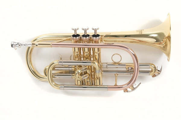 Cornet Sib D'etude Roy Benson CR-202