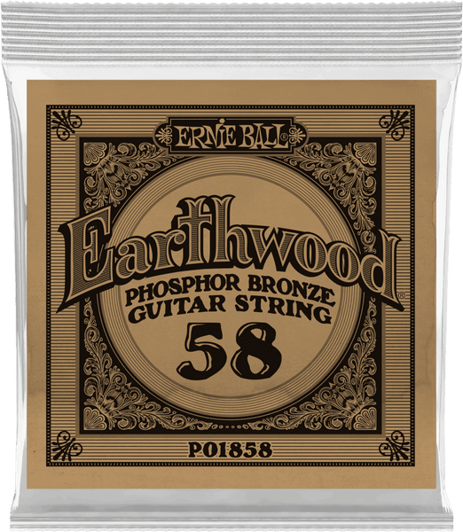 Ernie Ball Earthwood Phosphore Bronze 58