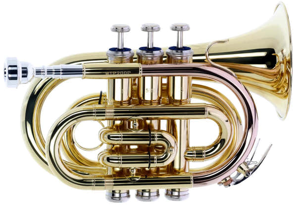 WTP200P - Si B Verni