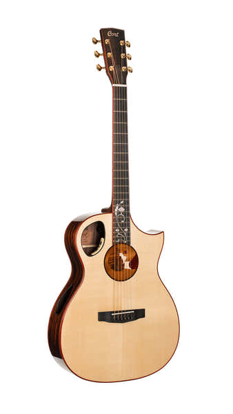 Guitare Roselyn Redux Naturel Brill
