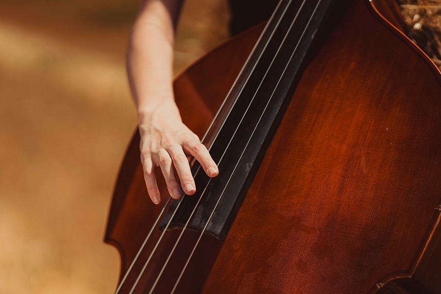 contrebasses
