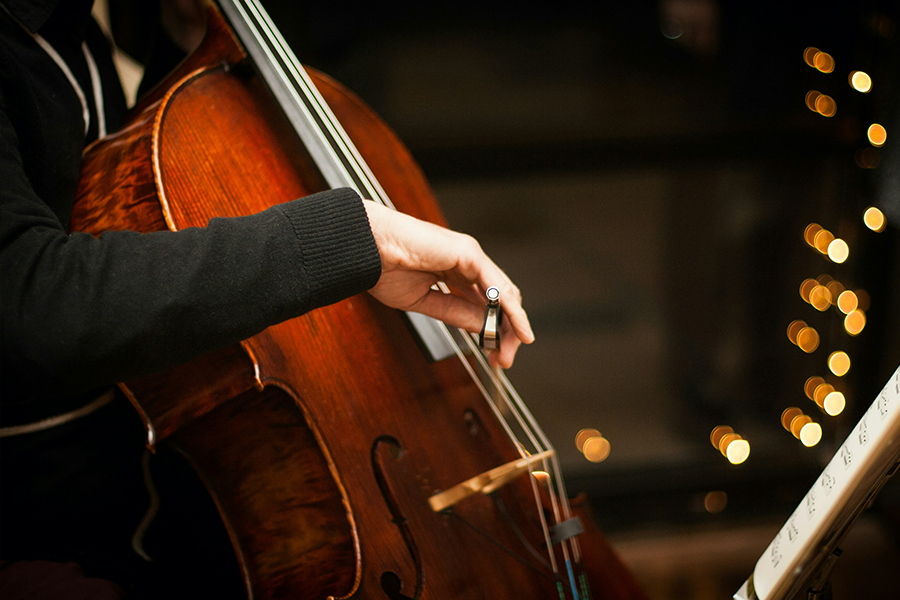 violoncelles