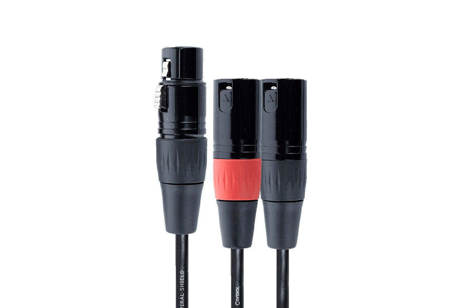 double xlr male