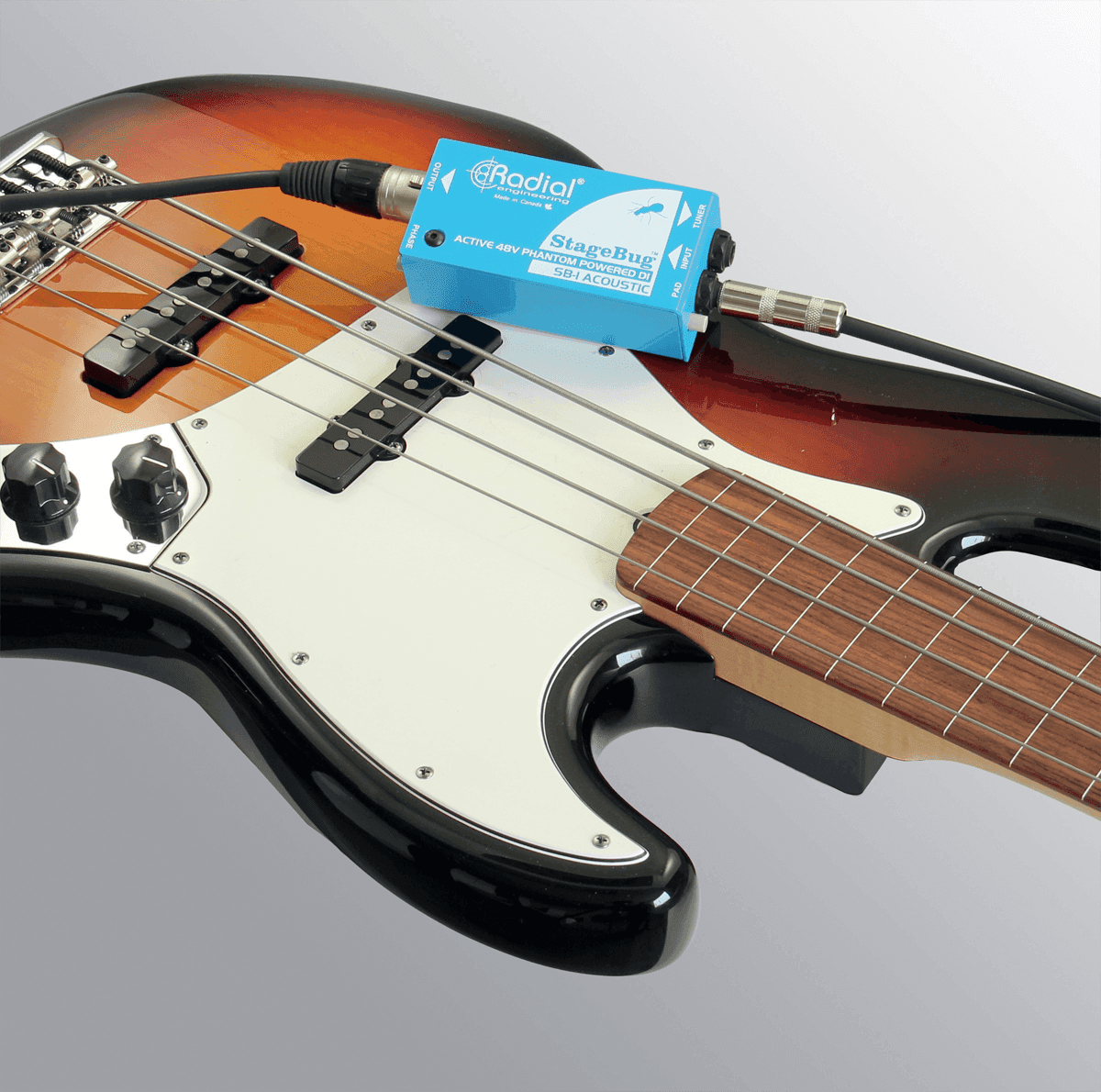 STAGEBUG-1 Acoustic - Di Active