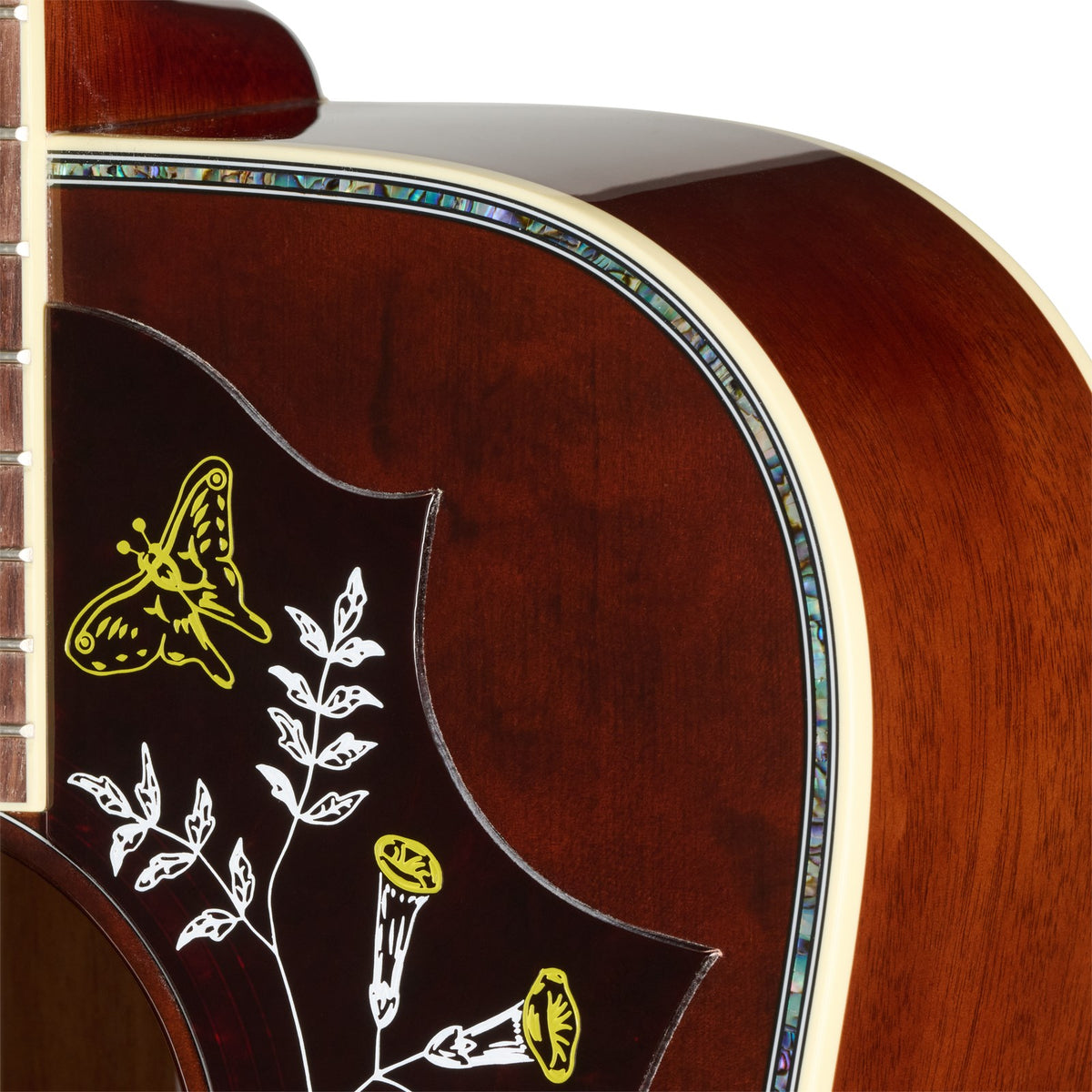 Hummingbird Anni. Edition Limitée Cremona Burst Modern