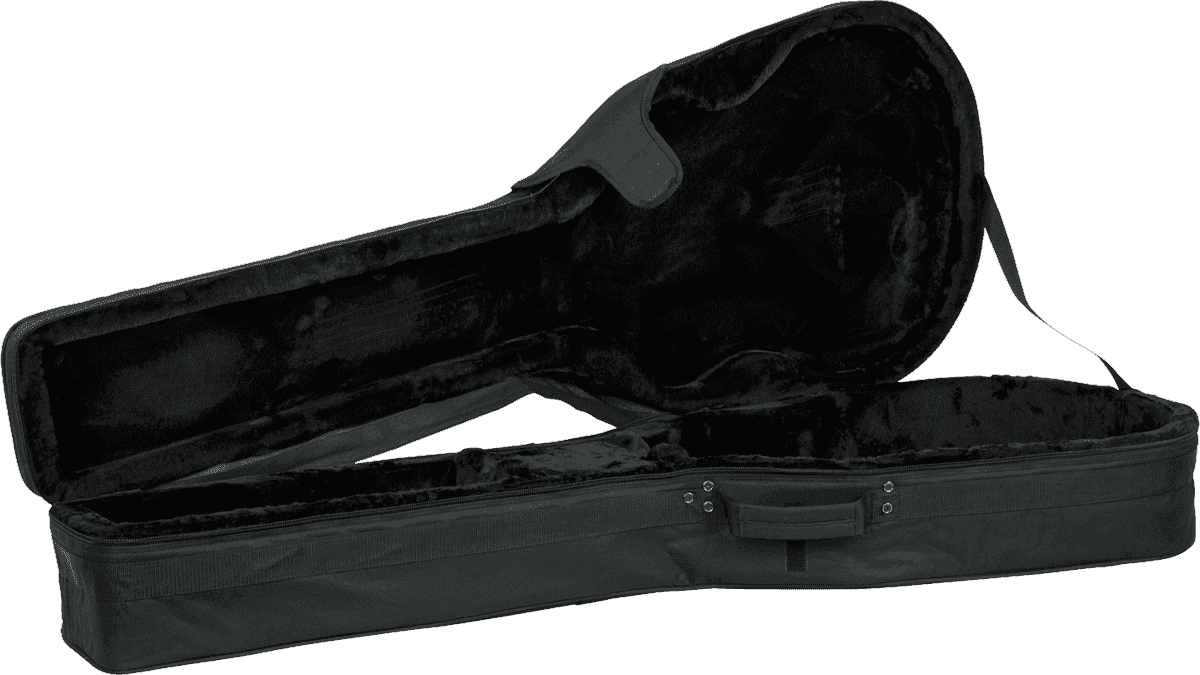 Softcase Basse Acoustique - GL