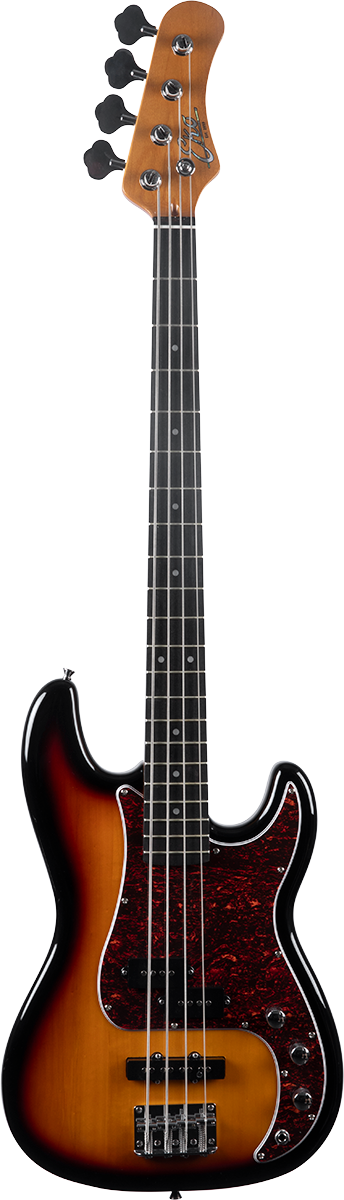 Guitares basses Eko