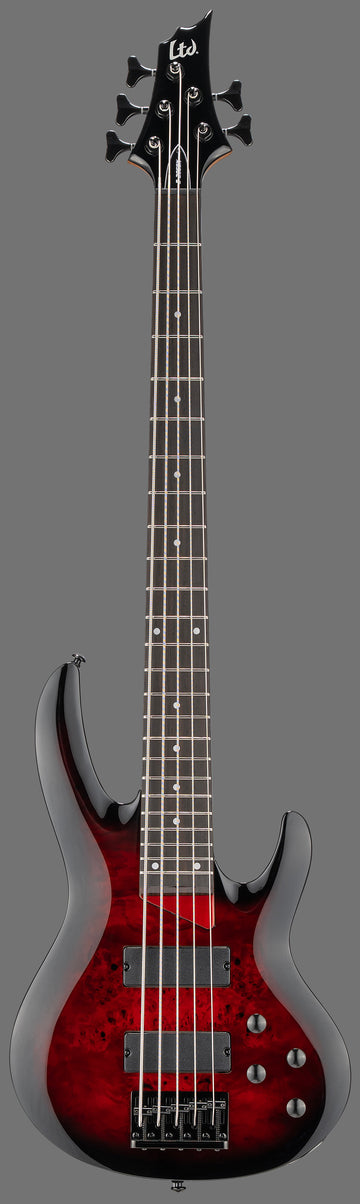 B-205DX Red Burst