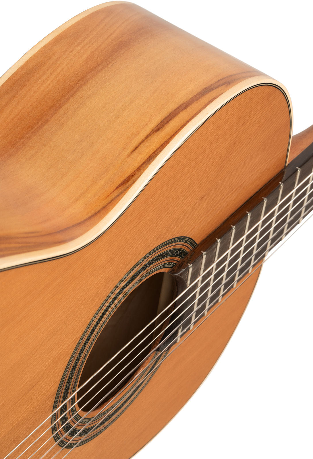 Traditional 4/4 + Pro Gig Bag