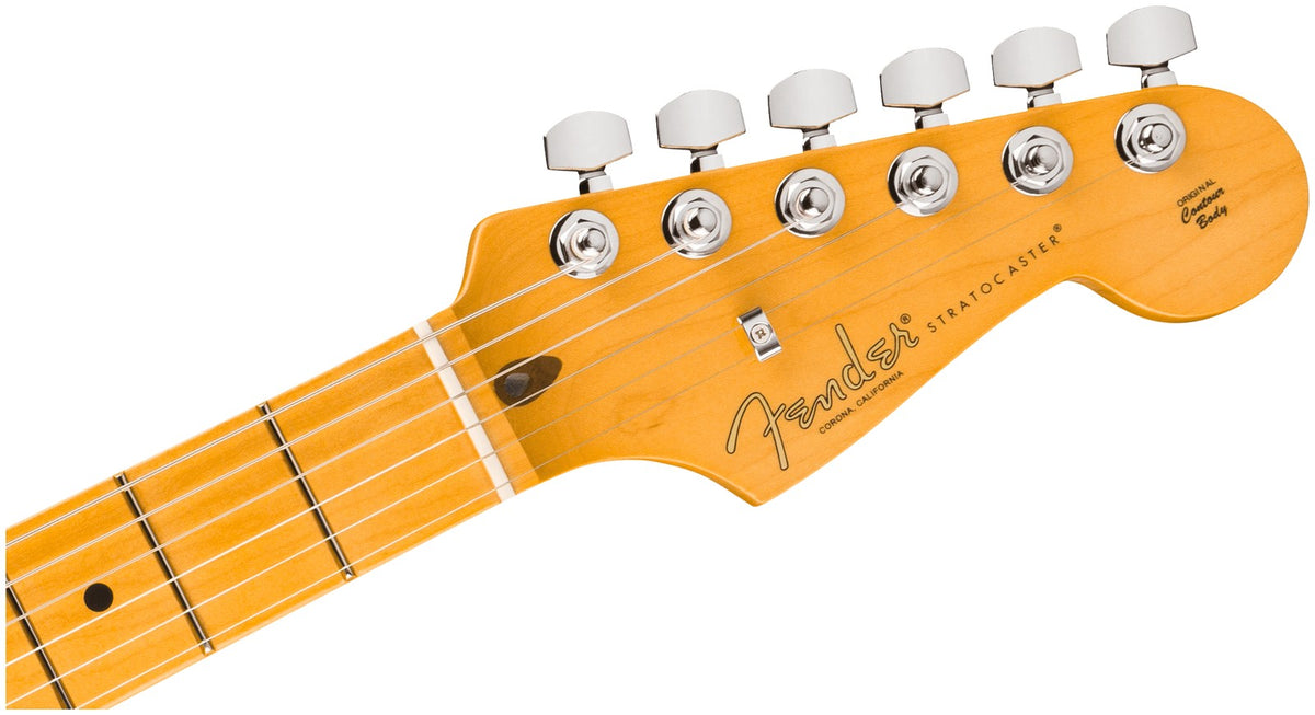 Stratocaster American Professional, MN Dark Night