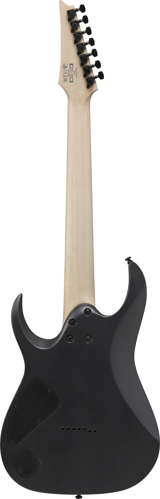 RGA742EXBAM Black Aurora Burst Matte