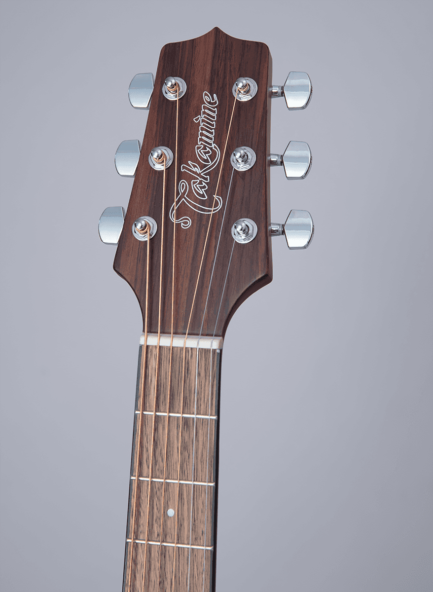 GLD12ENS 12 Dreadnought Epicéa-Acajou
