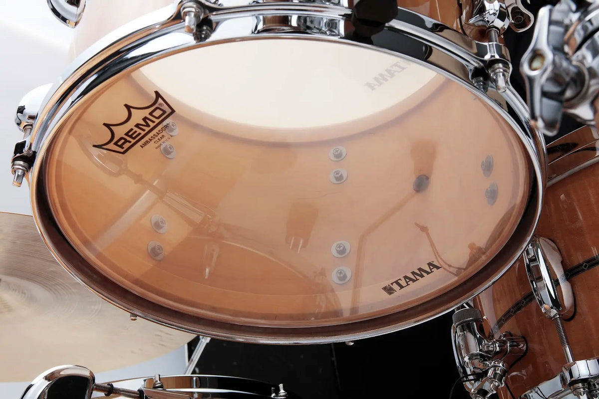 STAR Maple Fusion 20 Gloss Natural Curly Maple