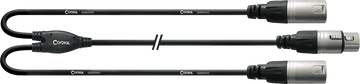 Câble Y Bretelle XLR Femelle/2 XLR Mâles 30 CM
