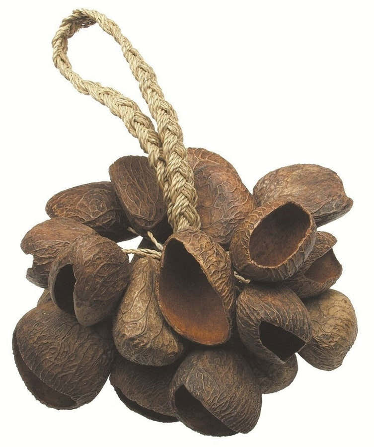 Shaker Seed Shell - T-SS