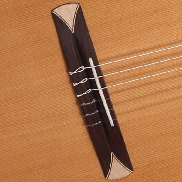 Concert Cs-1 Cw E1 Crossover + 9738 25mm Housse