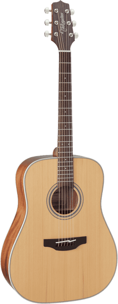 Takamine GD20-NS Natural Satin